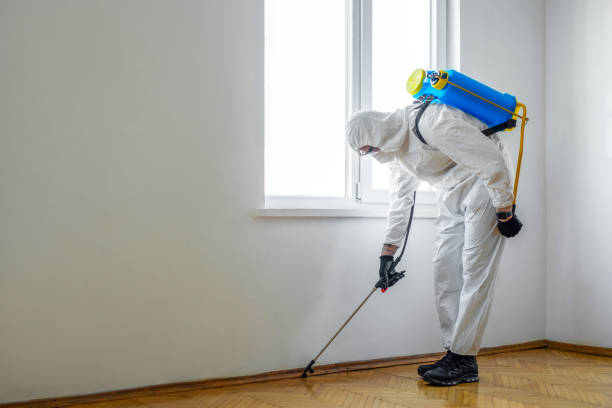 Best Bed Bug Extermination  in Martin, SD