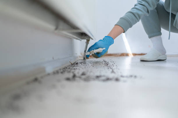 Best Cockroach Control Services  in Martin, SD